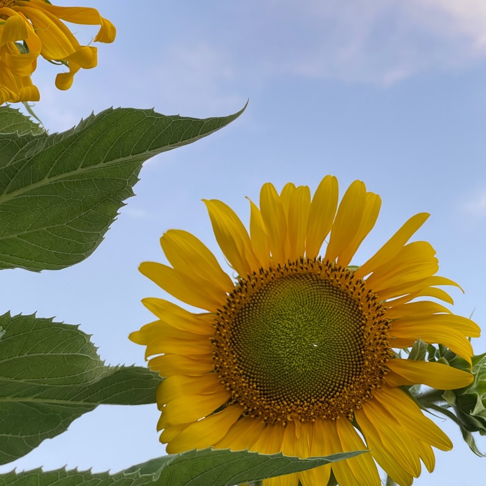 Meet your Posher, Marty